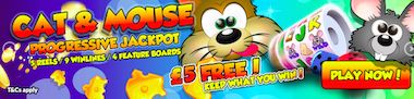 mFortune Free Slots Online